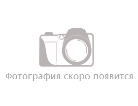 19 этаж - 650 м<sup>2</sup>